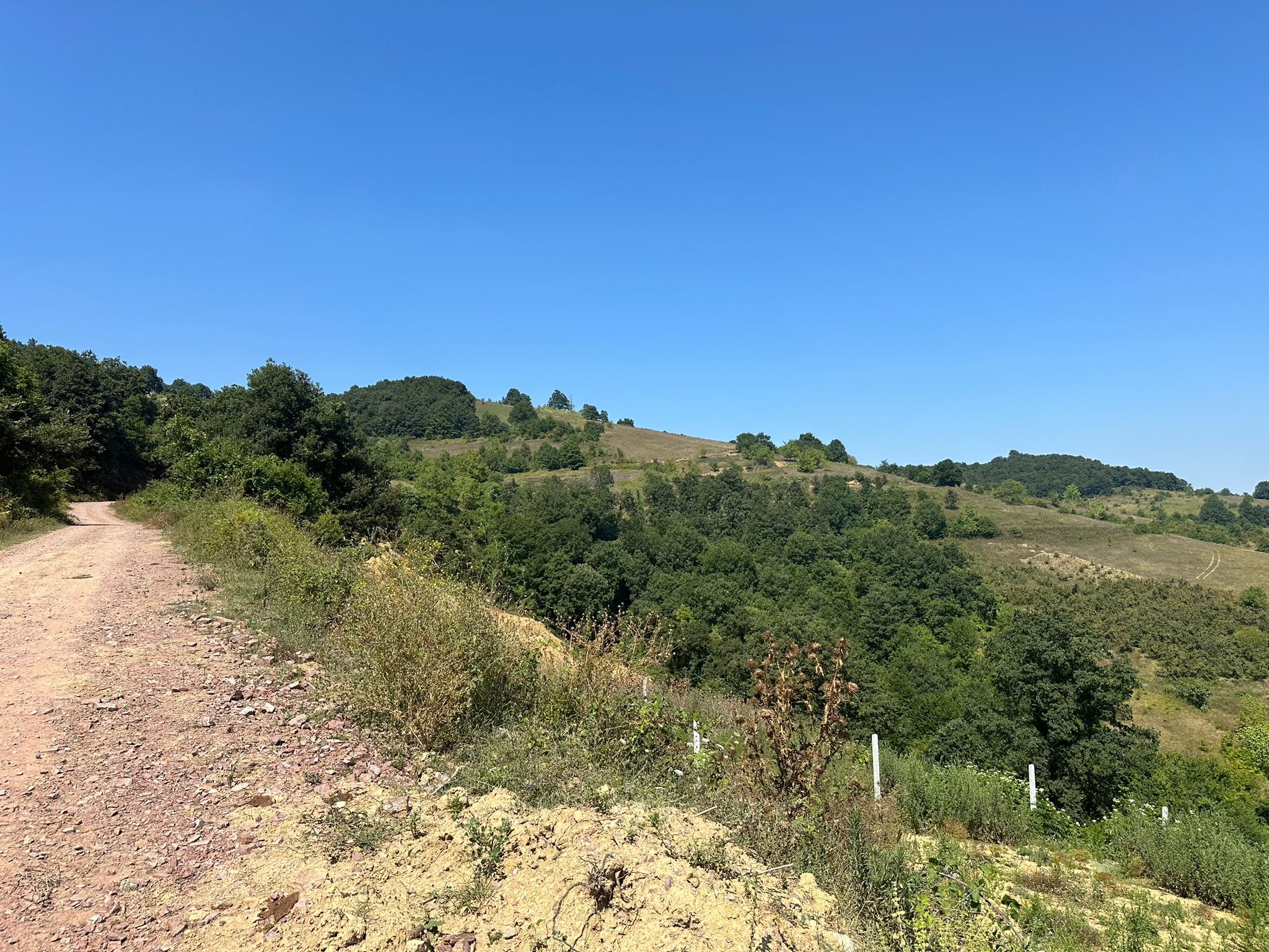 Kocaeli İzmit Zeytinburnu’nda 1.061 m² İmarlı Arsa