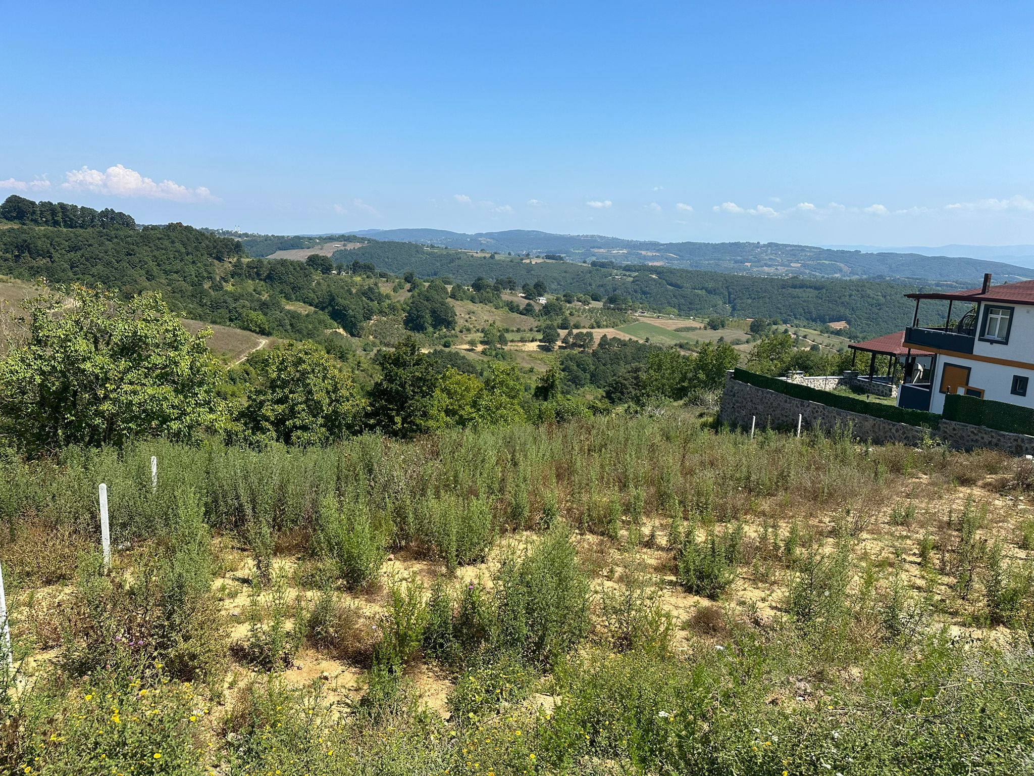 Kocaeli İzmit Zeytinburnu’nda 1.061 m² İmarlı Arsa