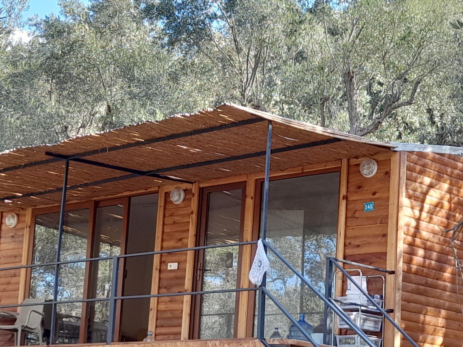 Rensa Gayrimenkul’den Balıkesir Edincik’te 2290 m2 Zeytinlik Arsa Satılık