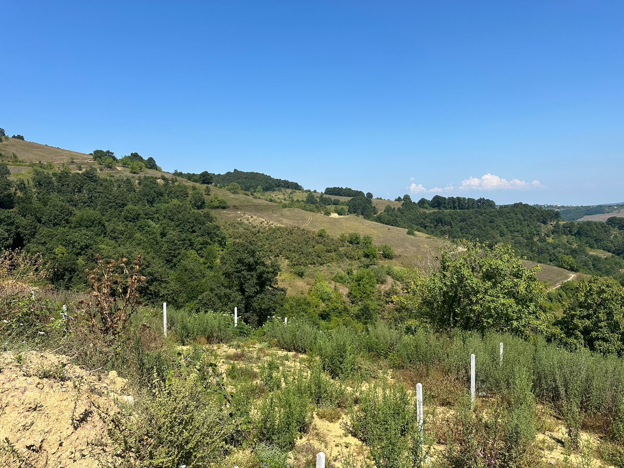 Kocaeli İzmit Zeytinburnu’nda 1.061 m² İmarlı Arsa