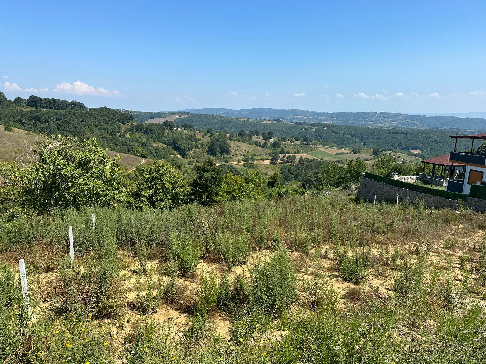 Kocaeli İzmit Zeytinburnu’nda 1.061 m² İmarlı Arsa