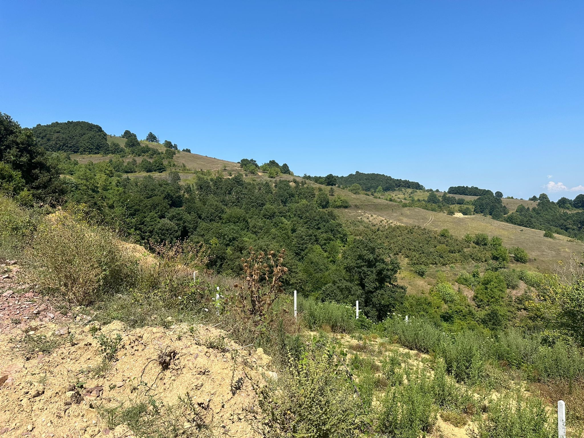 Kocaeli İzmit Zeytinburnu’nda 1.061 m² İmarlı Arsa