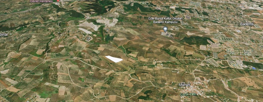 Rensa Gayrimenkul’den Bursa Mudanya’da 18.100 m2’lik  Satılık Arsa