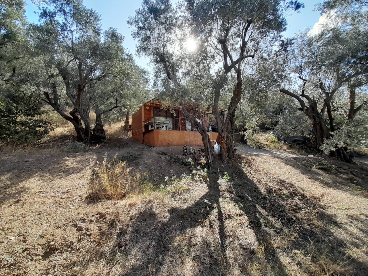 Rensa Gayrimenkul’den Balıkesir Edincik’te 2290 m2 Zeytinlik Arsa Satılık
