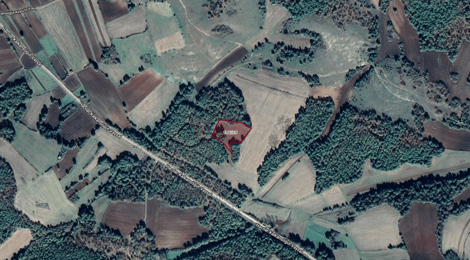 Edirne Lalapaşa Kalkansöğüt Köyünde 5720 m2 Satılık Tarla