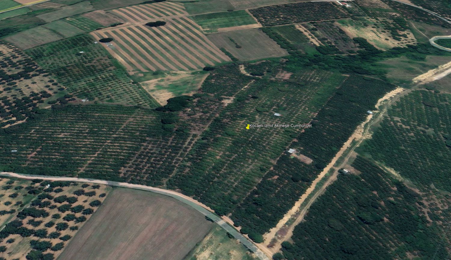 Kocaeli İzmit Akmeşe’de Satılık 9500 m2 Fındıklık