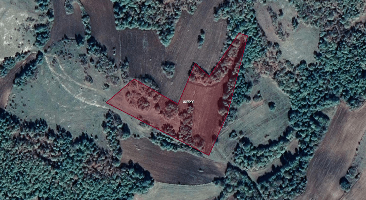 Edirne Lalapaşa Kalkansöğüt Köyünde 24450 m2 Satılık Tarla