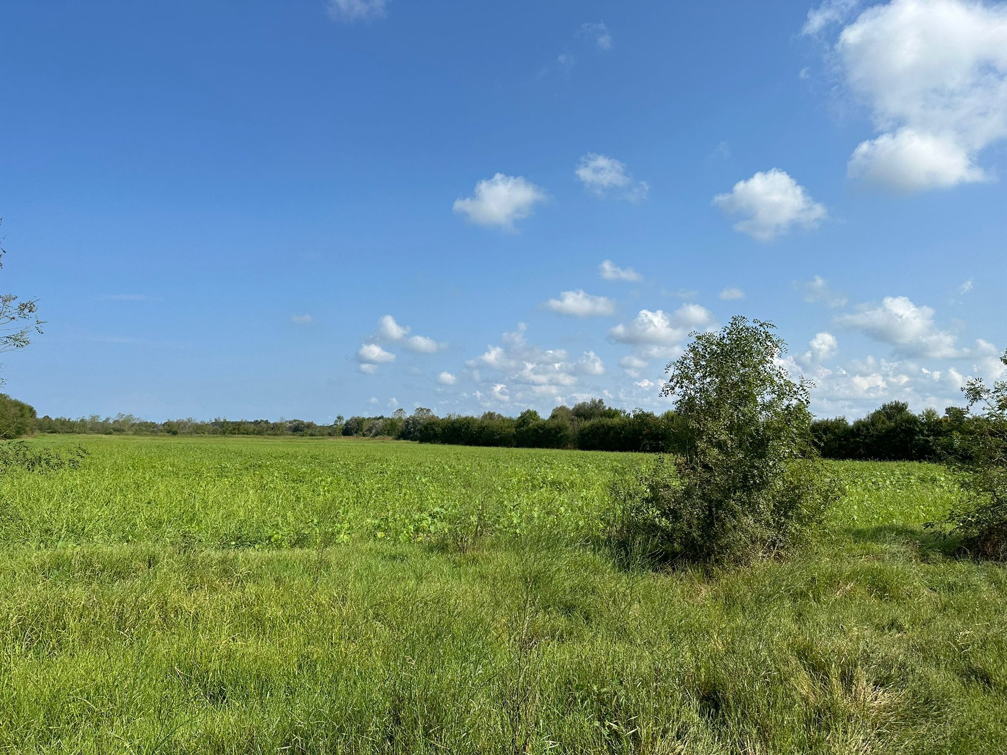 Sakarya Kaynarca Ortaköy’de Satılık Arsa