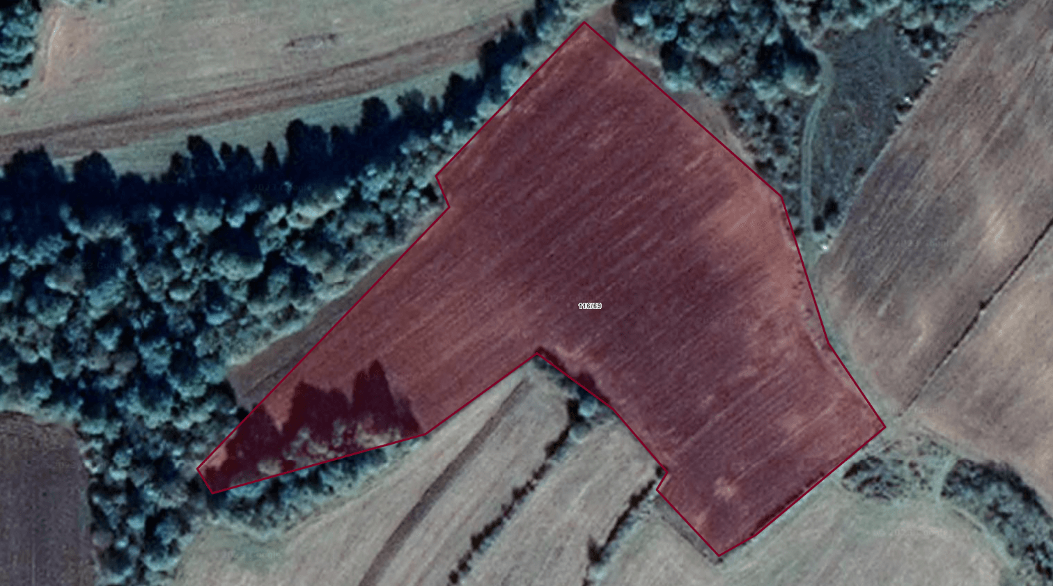 Edirne Lalapaşa Kalkansöğüt Köyünde 16172 m2 Satılık Tarla