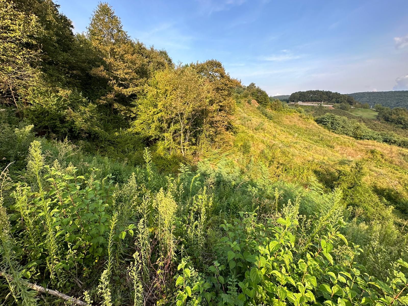 Kocaeli Kartepe Eşmeahmediye’de Satılık Arsa