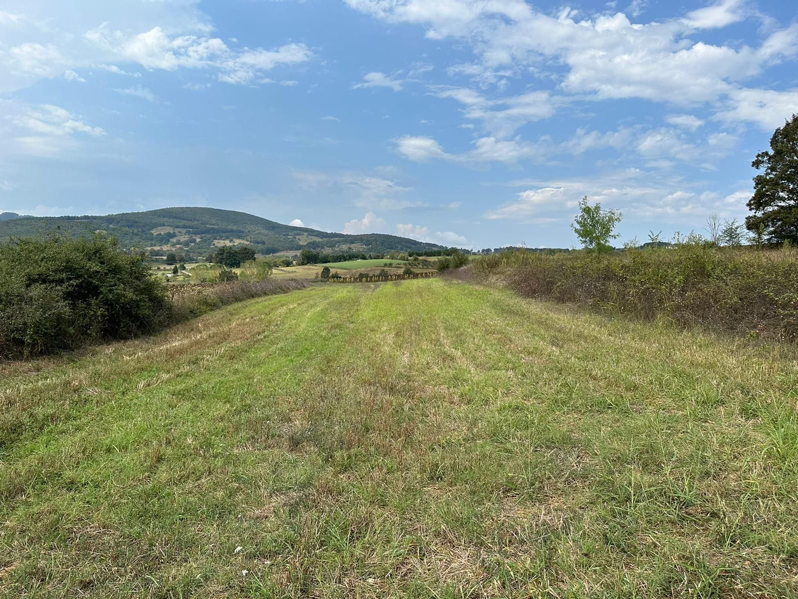 Kocaeli İzmit Ambarcı’da 3000 m2 Satılık Arsa